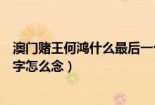 澳门赌王何鸿什么最后一个字念什么（赌王叫何鸿什么那个字怎么念）