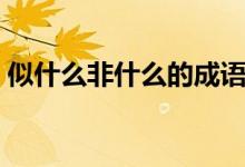 似什么非什么的成语四个字（似什么非什么）