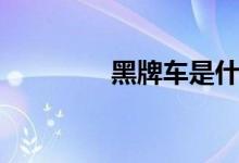 黑牌车是什么身份（黑牌）