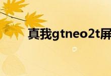 真我gtneo2t屏幕（真我gtneo2t）