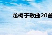 龙梅子歌曲20首（龙梅子所有歌曲）