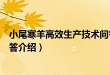 小尾寒羊高效生产技术问答（关于小尾寒羊高效生产技术问答介绍）
