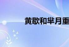 黄歇和芈月重逢（黄歇和芈月）