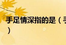 手足情深指的是（手足情深的手足是什么意思）
