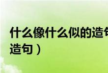 什么像什么似的造句四年级（什么像什么似的造句）