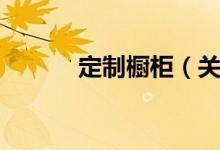 定制橱柜（关于定制橱柜介绍）
