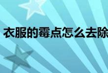 衣服的霉点怎么去除（去除衣服霉点小妙招）
