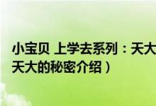 小宝贝 上学去系列：天大的秘密（关于小宝贝 上学去系列：天大的秘密介绍）