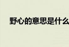 野心的意思是什么（野心指的什么意思）