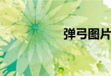 弹弓图片大全（弹弓）