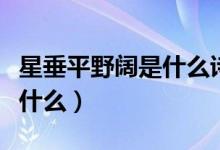 星垂平野阔是什么诗（星垂平野阔的下一句是什么）