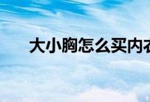 大小胸怎么买内衣（胸的大小怎么分）