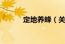 定地养蜂（关于定地养蜂介绍）