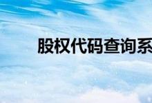 股权代码查询系统（股权代码查询）