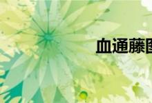 血通藤图片（血通）