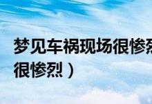 梦见车祸现场很惨烈人没有死（梦见车祸现场很惨烈）