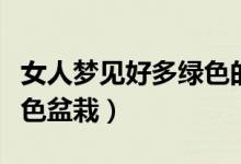 女人梦见好多绿色的大虫子（女人梦见好多绿色盆栽）