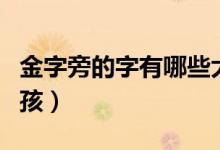 金字旁的字有哪些大全（金字旁的字有哪些男孩）