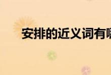 安排的近义词有哪些（安排的近义词）