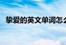 挚爱的英文单词怎么写（挚爱的英文单词）