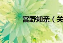 宫野知亲（关于宫野知亲介绍）