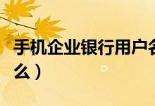 手机企业银行用户名是什么(银行用户名是什么)