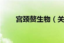 宫颈赘生物（关于宫颈赘生物介绍）