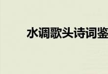 水调歌头诗词鉴赏（水调歌头诗词）