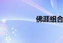 佛涯组合羽泉（佛涯）