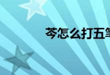 芩怎么打五笔（芩怎么读音）