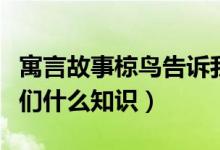 寓言故事椋鸟告诉我们什么道理（鸟说告诉我们什么知识）