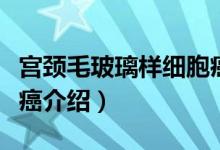 宫颈毛玻璃样细胞癌（关于宫颈毛玻璃样细胞癌介绍）
