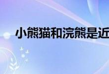 小熊猫和浣熊是近亲吗（小熊猫和浣熊）