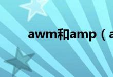 awm和amp（awm和awp的区别）