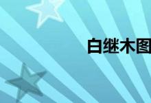 白继木图片(白继忠)