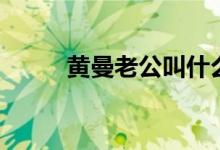 黄曼老公叫什么名字（黄曼老公）