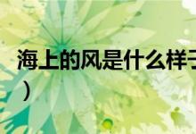 海上的风是什么样子的图片（海上的风是什么）