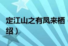 定江山之有凤来栖（关于定江山之有凤来栖介绍）