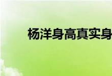 杨洋身高真实身高多少（杨洋身高）