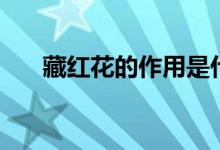 藏红花的作用是什么（藏红花的用法）