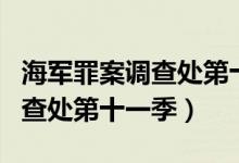 海军罪案调查处第十一季电视剧（海军罪案调查处第十一季）