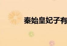 秦始皇妃子有多少（秦始皇妃）