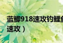 蓝鲫918速攻钓鲤鱼最佳配比（蓝鲫和918和速攻）
