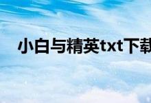 小白与精英txt下载百度云（小白与精英）