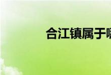 合江镇属于哪个市（合江镇）