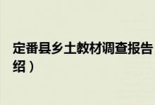 定番县乡土教材调查报告（关于定番县乡土教材调查报告介绍）
