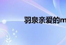 羽泉亲爱的mv（羽泉 亲爱的）