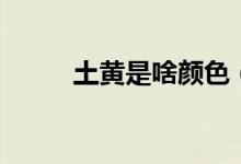 土黄是啥颜色（土黄是什么颜色）