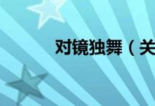 对镜独舞（关于对镜独舞介绍）