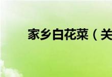 家乡白花菜（关于家乡白花菜介绍）